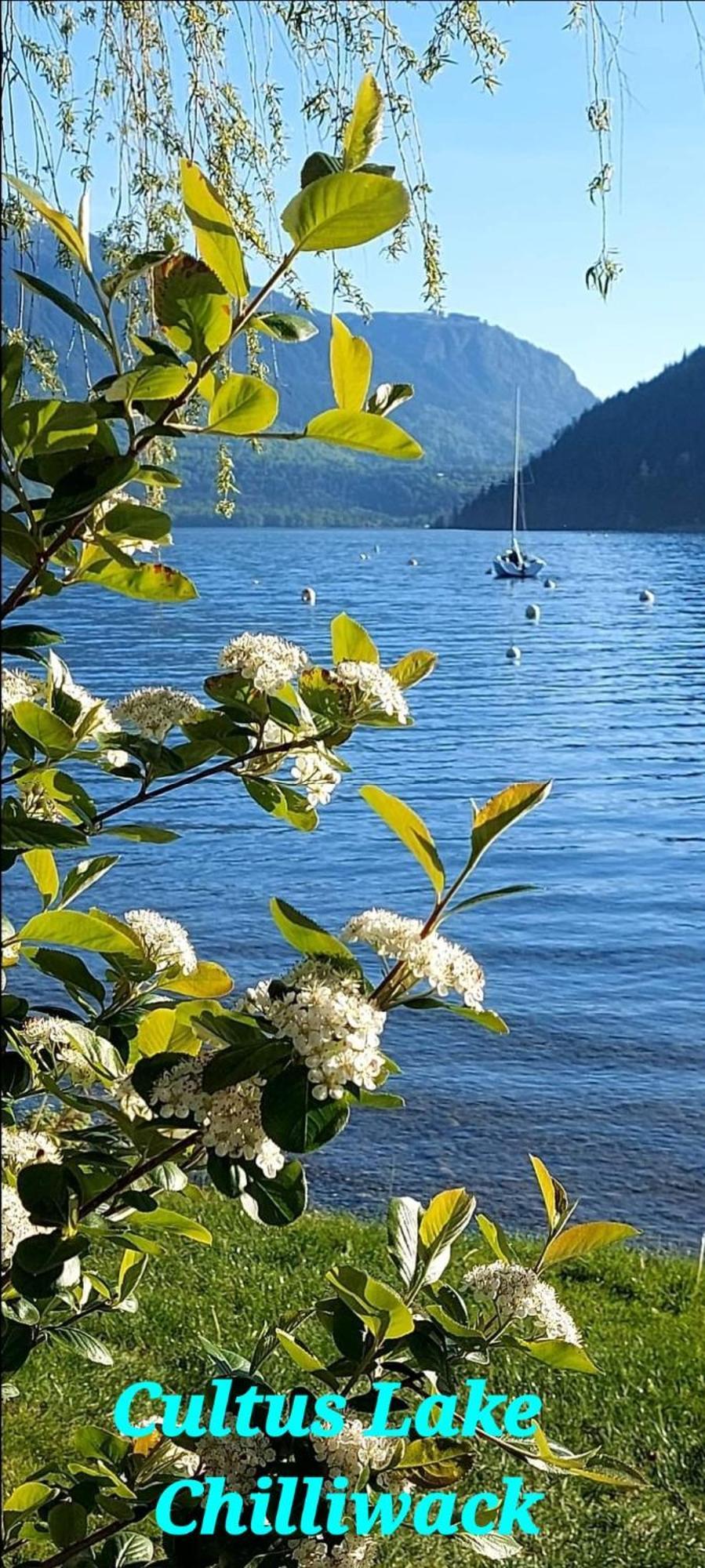Private 2 Bedrooms Suite Near Hwy 1, Cultus Lake, Heritage Park, Fishing, Coliseum Chilliwack Pokoj fotografie