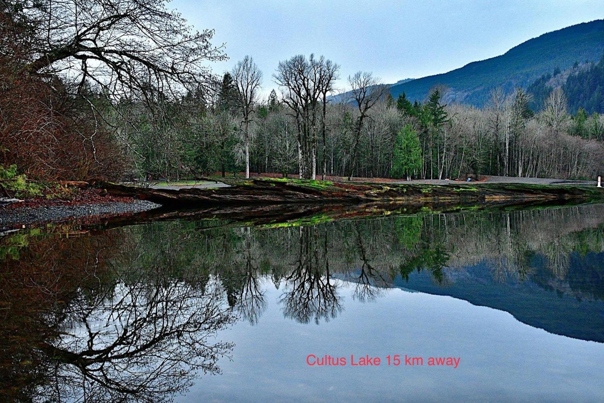 Private 2 Bedrooms Suite Near Hwy 1, Cultus Lake, Heritage Park, Fishing, Coliseum Chilliwack Exteriér fotografie